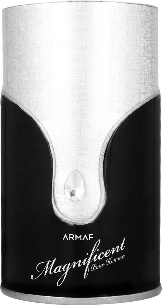 Armaf Magnificent Pour Homme EDP 100 ml M Obrázek produktu 
