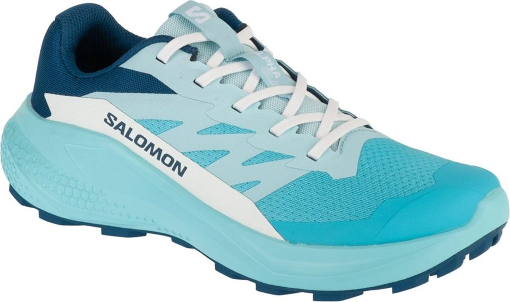 Schuhe Salomon Alphaglide L47801600
