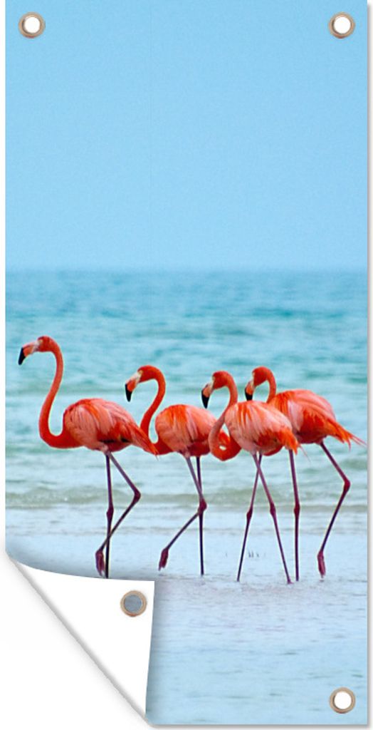 MuchoWow 80x160 cm Outdoor-Poster Gartendeko Sichtschutz Garten Poster für den Garten Vier Flamingos spazieren im Wasser