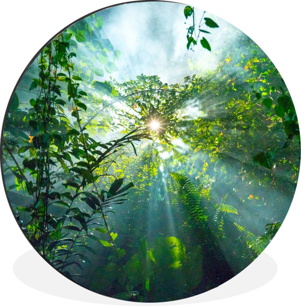 MuchoWow Aluminium Wandkreis Sonnenlicht scheint auf eine Höhle im Regenwald von Malaysia Ø 90 cm Wanddeko Modern Wohnzimmer - Mauerkreis - Wan...