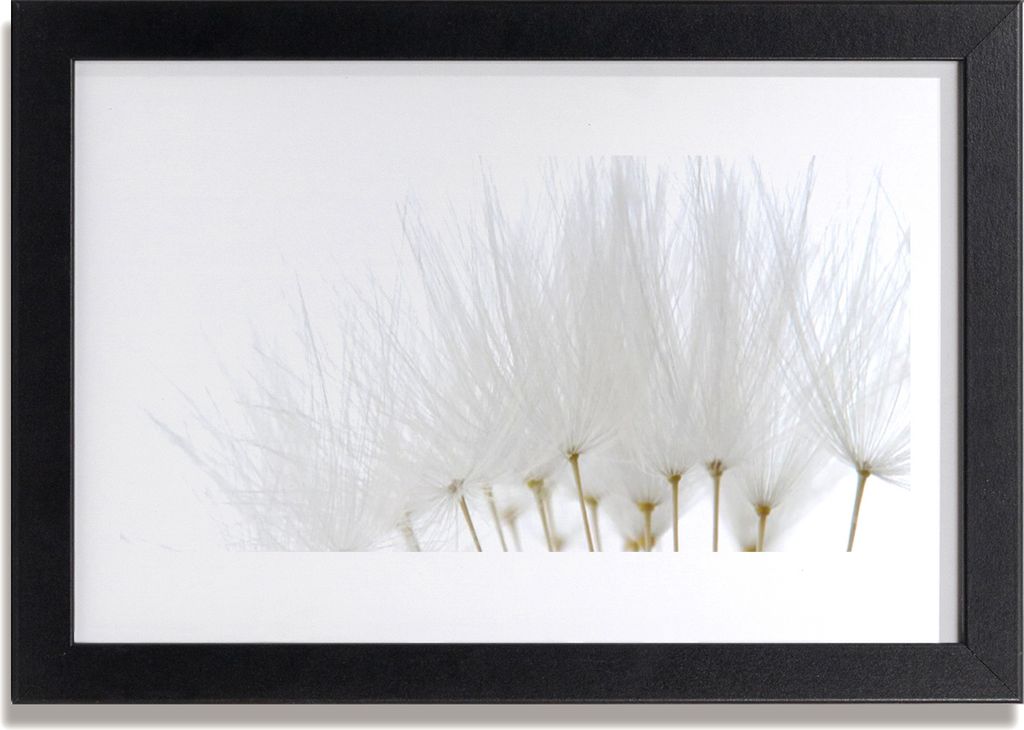 Bild 30x20 MDF-Rahmen Wandkunst Flowers On The Wall