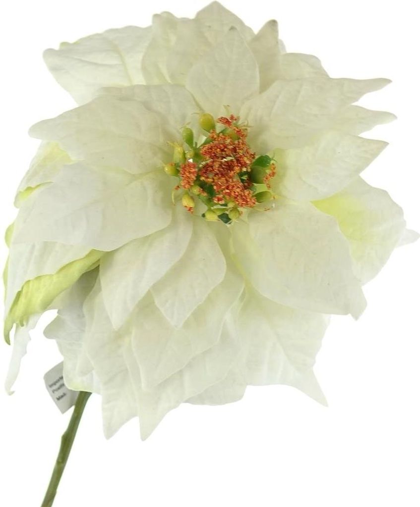 CREATIV home Weihnachtsstern - Poinsettie Velvet Weiß 53 cm - Kunstblumen
