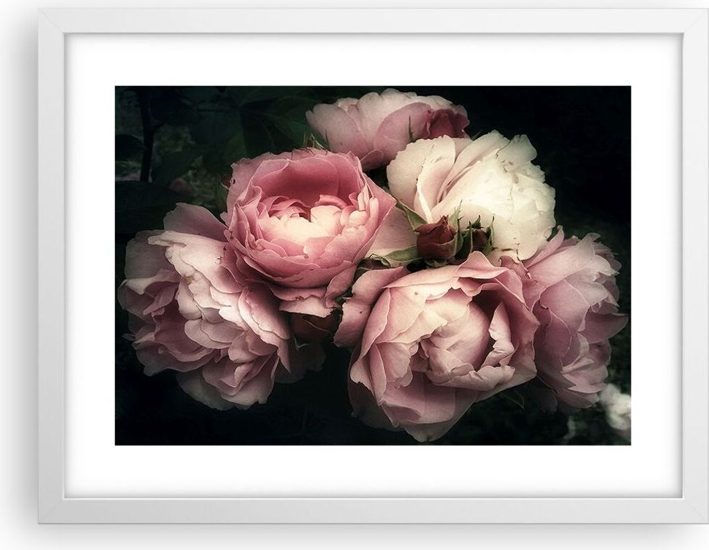 Gerahmtes Poster - Weißer Rahmen - Pfingstrose Blume - 40x30 cm - Wand Bild - Wanddeko - Wandbilder - Kunstposter - Wandposter - Bilderrahmen - Bi...