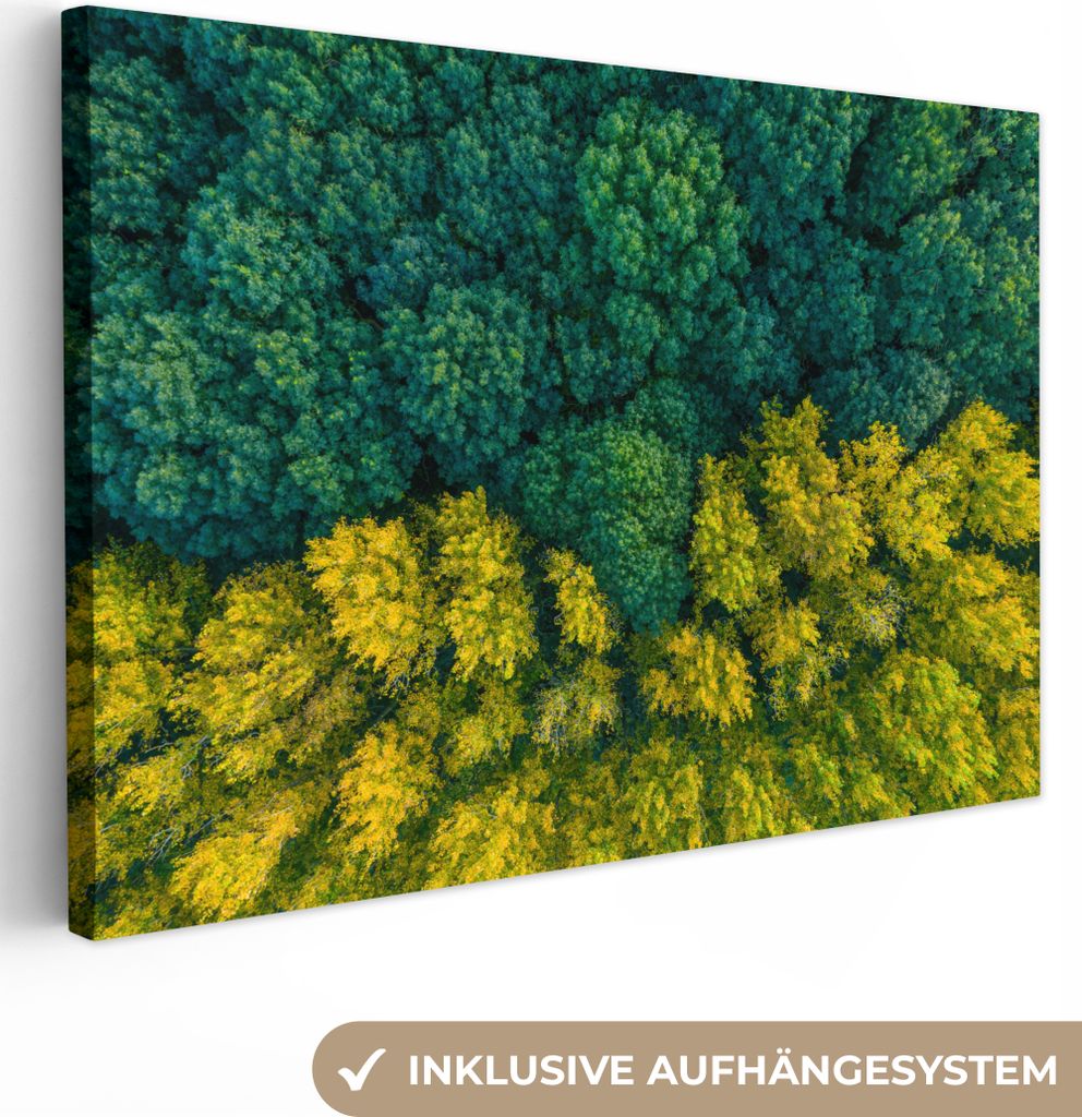OneMillionCanvasses - Leinwandbilder - 150x100 cm, Wald - Bäume - Gelb - Grün, Wandbilder Kunstdruck Wanddekoration