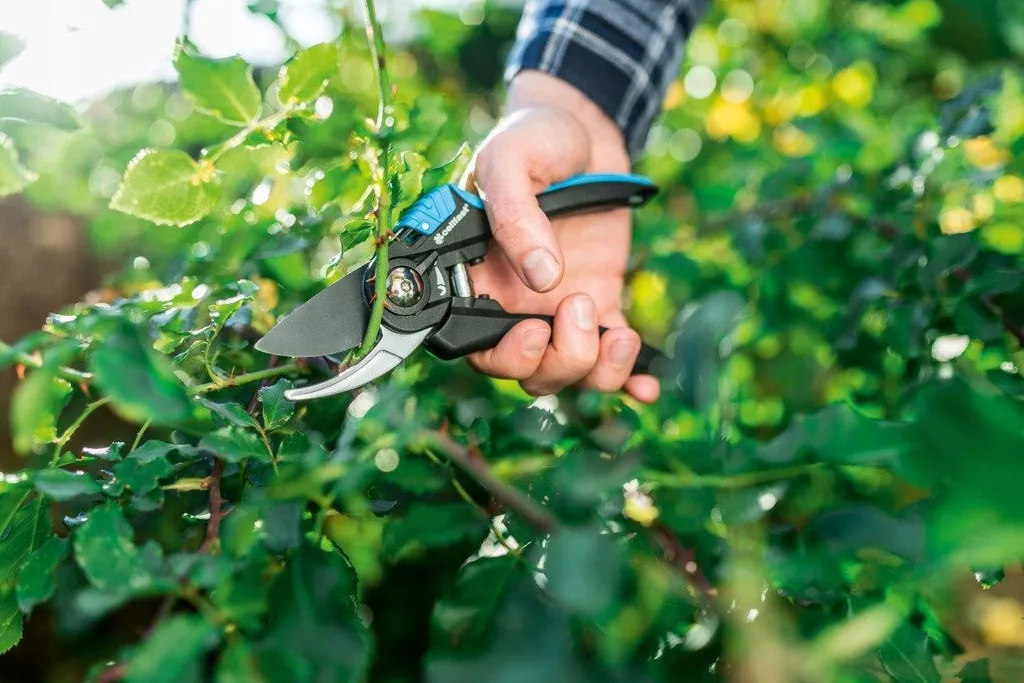 Forbici da Giardinaggio Cellfast Ergo 41-021 | Comfort e Precisione - 7
