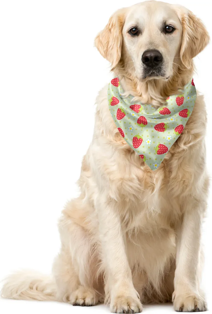 ABAKUHAUS Bandana per Cani Motivo Frutta 55x55cm - Accessorio Primavera