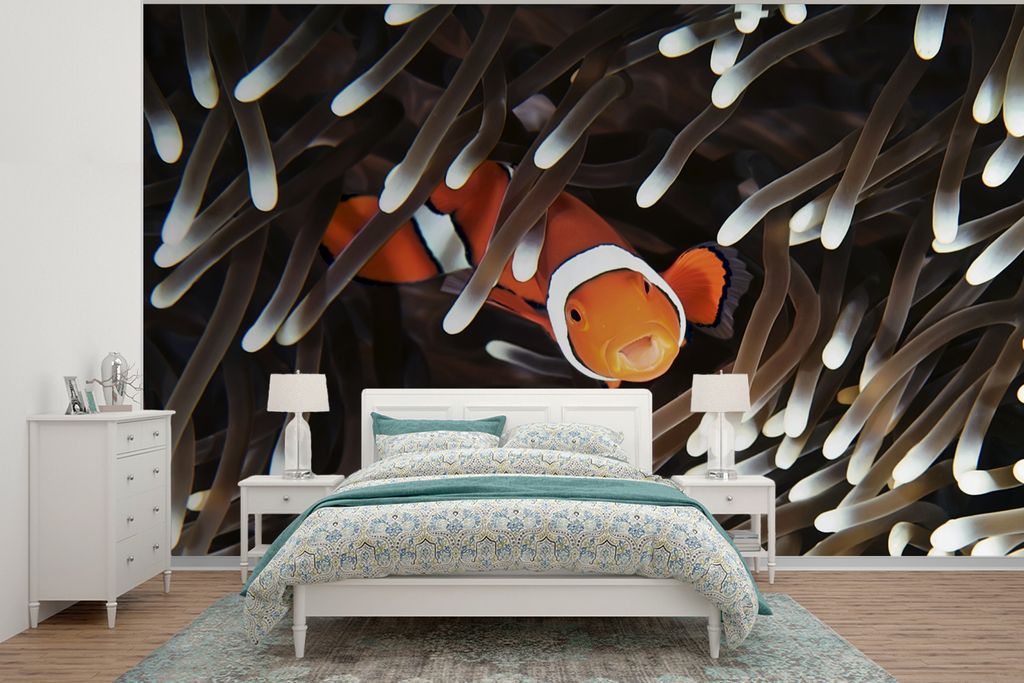 MuchoWow Fototapete für Wohnzimmer oder Schlafzimmer Wandtapete Vinyl Motivtapete Koralle - Clownfisch - Meer - Fisch - 360x260 cm - Wohnzimmer ...