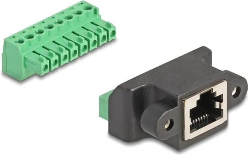 Delock Adattatore RJ45 a Morsettiera 8 Pin da Incasso - Cat.6 Professionale