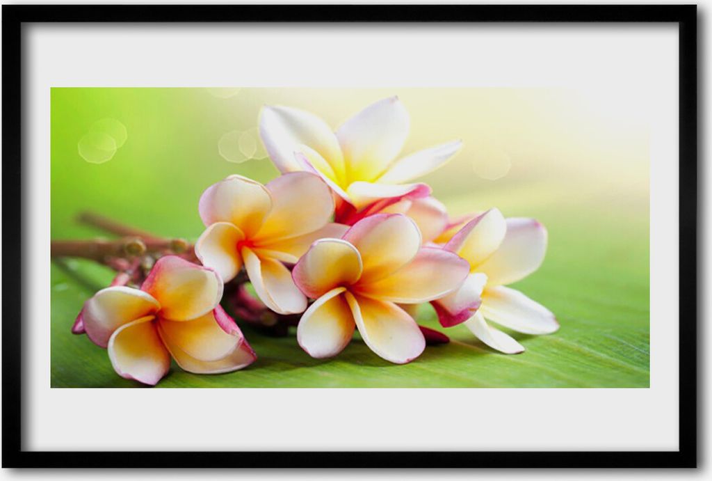 Bild 60x40 MDF-Rahmen Wandkunst Blumen Pflanzen Natur