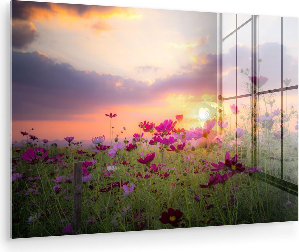 MuchoWow Glasbilder - Bilder auf Wandbild - Foto auf Glas Blumen - Rosa - Sonnenuntergang - Natur - Wiese - Horizont 120x80 cm Wanddekoration aus G...