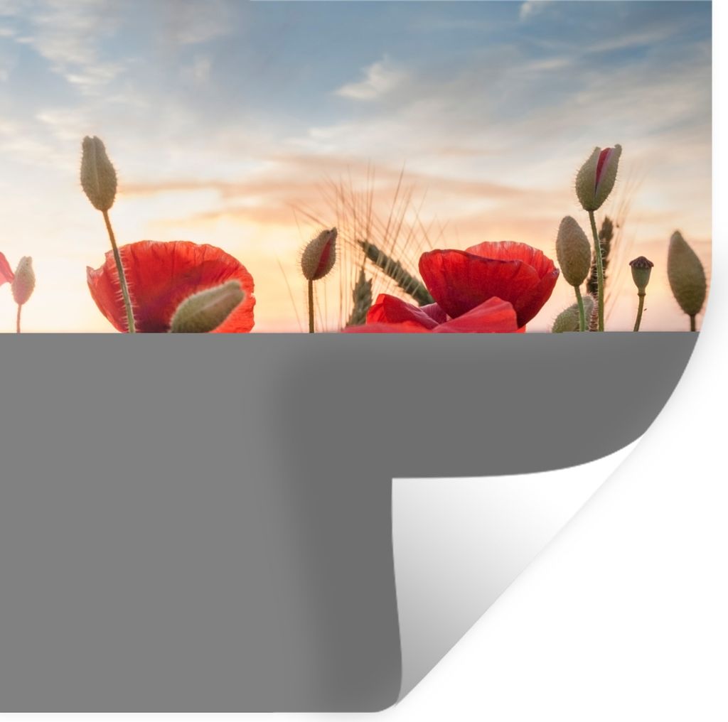 MuchoWow Wandtattoo Wandsticker Wandaufkleber Sonnenuntergang hinter den schönen Mohnblumen 50x50 cm Selbstklebend und Repositionierbar - Selbst...