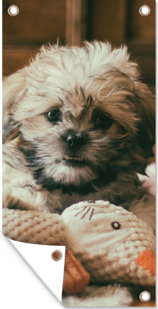 MuchoWow 30x60 cm Outdoor-Poster Gartendeko Sichtschutz Garten Poster für den Garten Ein Shih Tzu-Hund, der auf dem Boden kuschelt