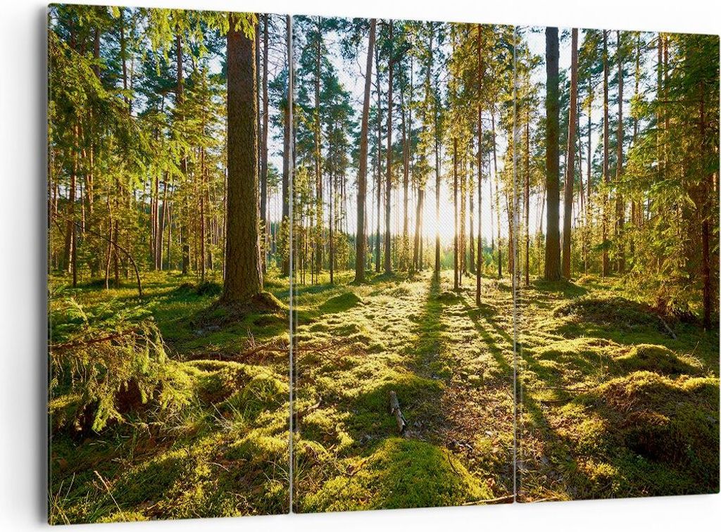 Bild auf Leinwand - Leinwandbild - Wald Baum Natur - 165x110cm - Wand Bild - Wanddeko - Wandbilder - Leinwanddruck - Bilder - Kunstdruck - Wanddeko...