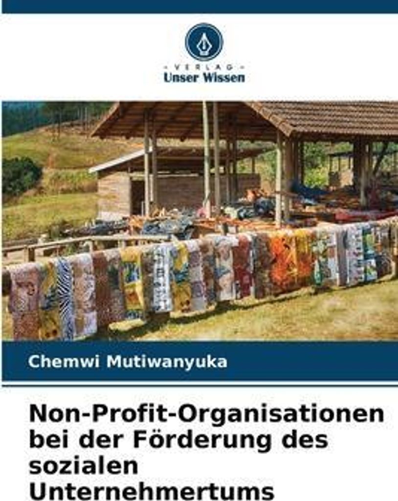 Non-Profit-Organisationen bei der Förderung des sozialen Unternehmertums