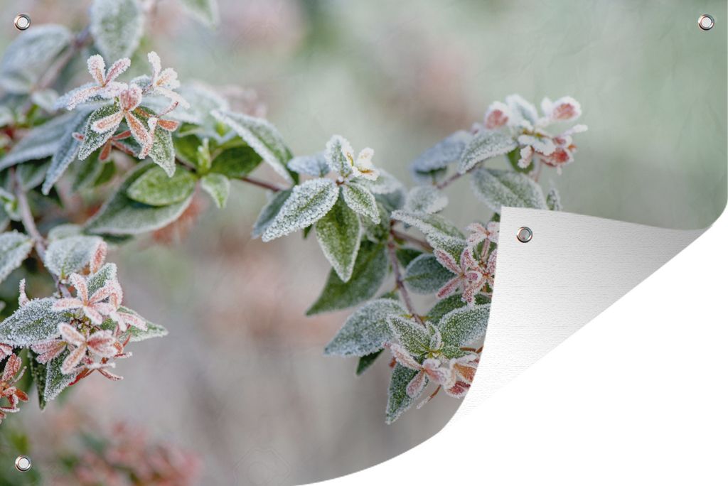 MuchoWow 90x60 cm Outdoor-Poster Gartendeko Sichtschutz Garten Poster für den Garten Pflanzen - Gefroren - Winter