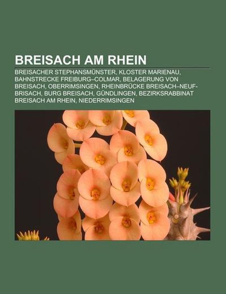 Breisach am Rhein