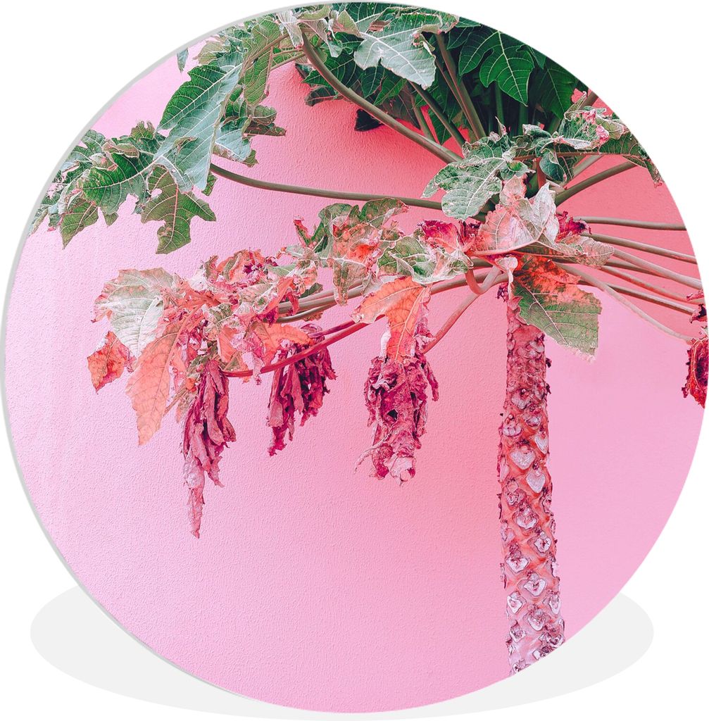 MuchoWow Rundes Wandbild - Runde Bilder Palme - Tropisch - Rosa - Sommer Ø 60 cm Kreis Wanddekoration Kunststoff - Wandkreis - Wandschmuck - Wan...