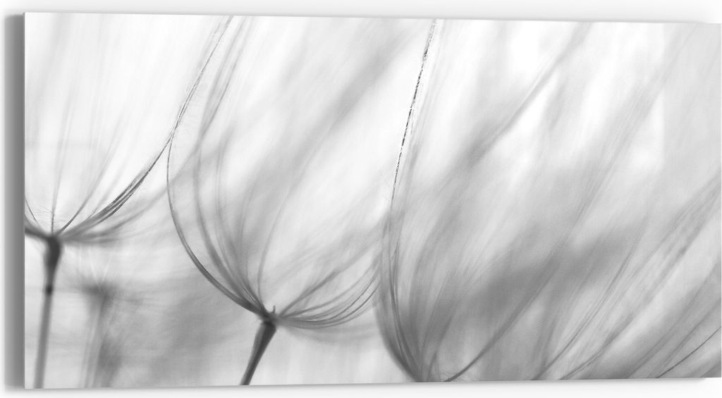 DEQORI Glasbild Echtglas 60x30 cm 'Sanfte Konturen' Wandbild Bild modern Deko