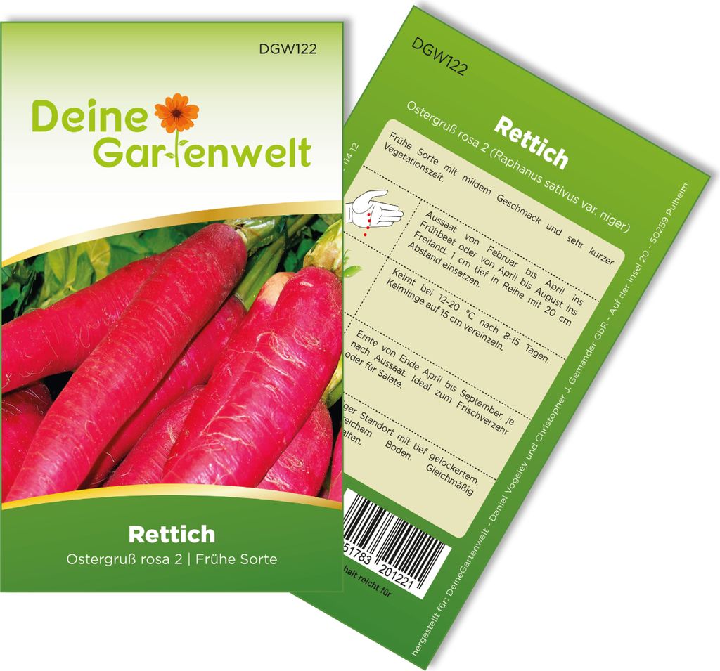Rettich Ostergruß rosa 2 Samen - Raphanus sativus - Produktbild 
