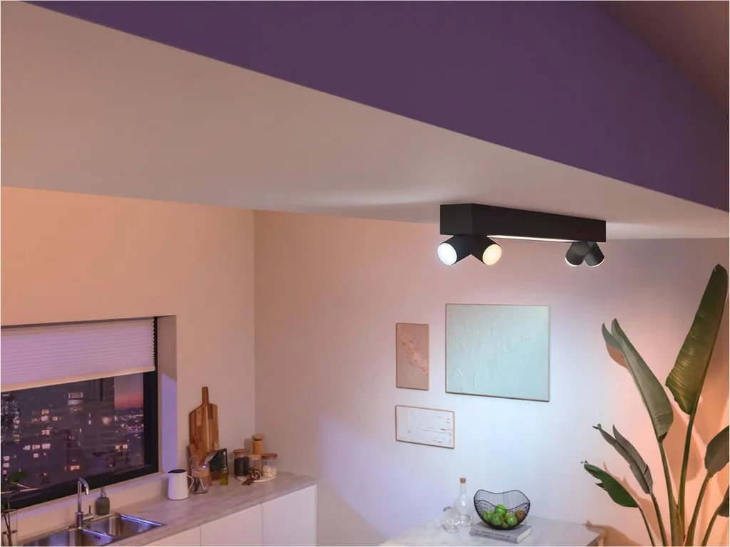 Spot LED PHILIPS Centris connecté RGBW avec éclairage d'ambiance 99cm - 5