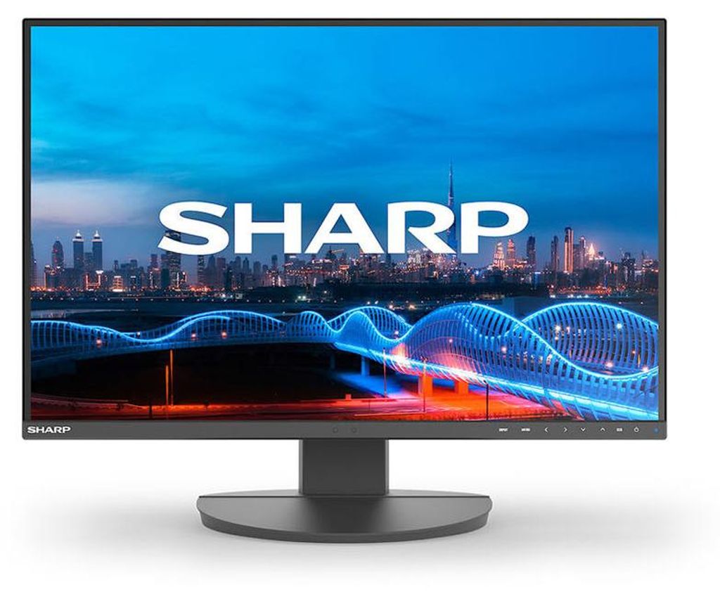 Sharp MultiSync EA241W, 61 cm (24"), 1920 x 1200 Pixel, Full HD, LCD, 5 ms, Schwarz
