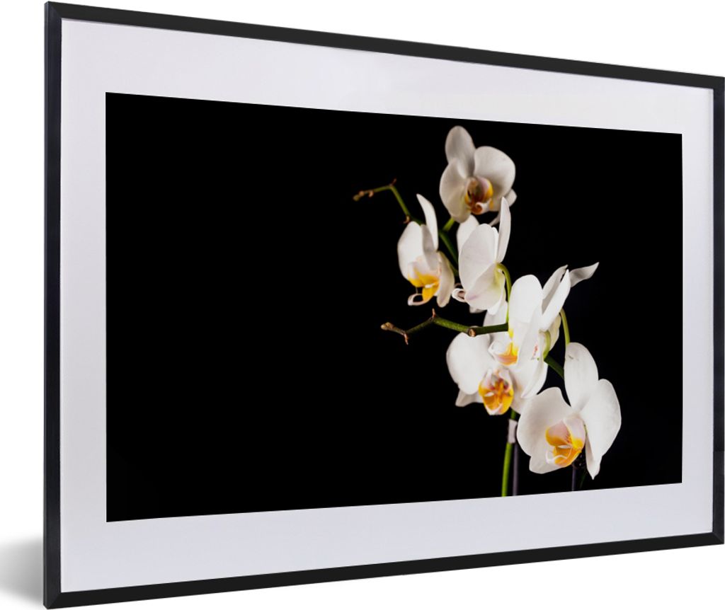 MuchoWow Gerahmtes Poster Orchidee - Blumen - Pflanzen - Botanisch 60x40 cm - Poster mit Schwarzem Bilderrahmen Wandposter Rahmen Foto Bilder - S...