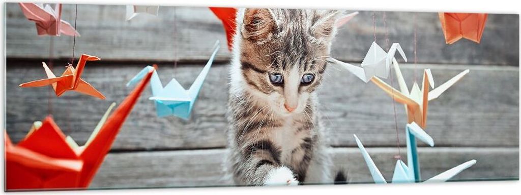 Bilder auf glas - Katze spaß origami - 160x50cm - Glasbilder - Wandbilder - Kunstdruck - zum Aufhängen bereit - Wanddekoration aus Glas - Glas Bi...