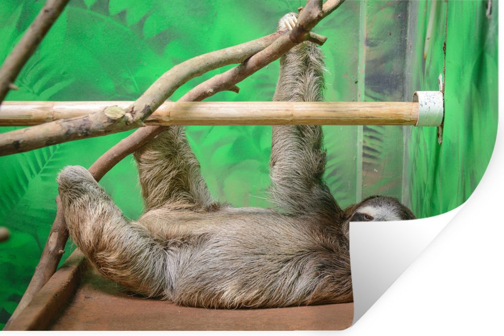 MuchoWow - Aufkleber