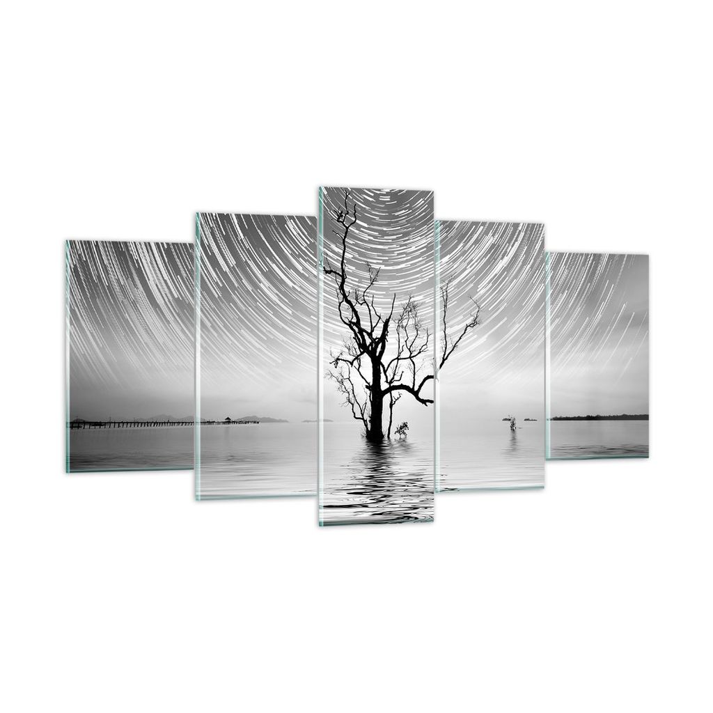 Bilder auf glas - 5 Teile - Schwarzweiß Baum See - 160x85cm - Glasbilder - Wandbilder - Bilder - zum Aufhängen bereit - Wanddekoration aus Glas -...