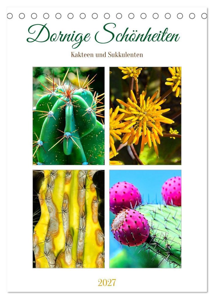 Dornige Schönheiten - Kakteen und Sukkulenten (Tischkalender 2027 DIN A5 hoch), CALVENDO Monatskalender