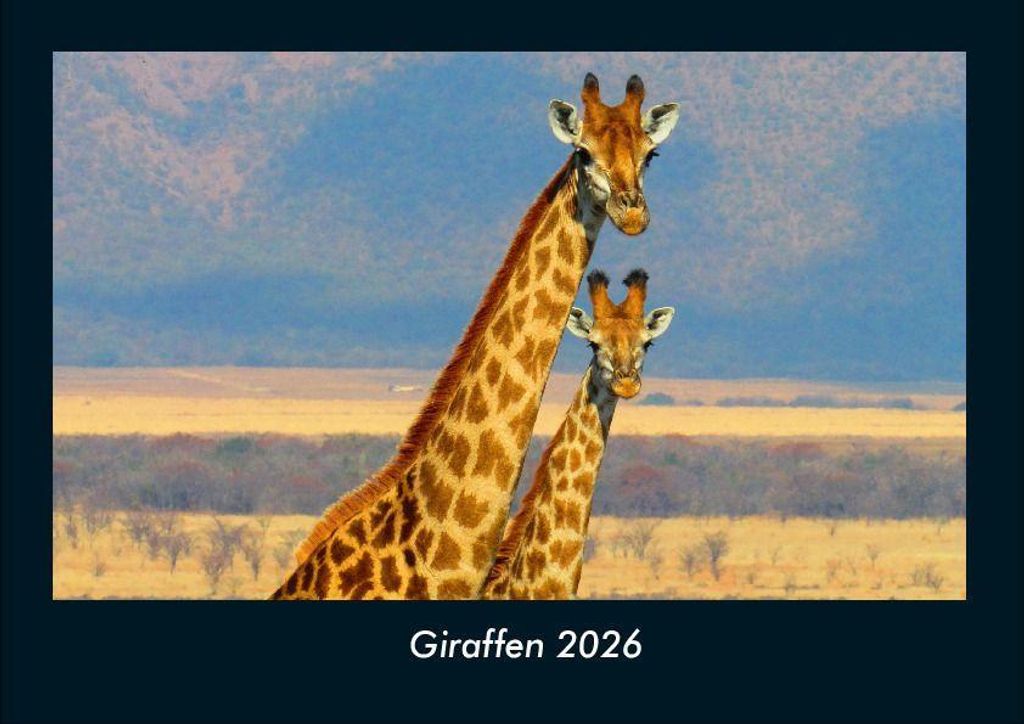 Giraffen 2026 Fotokalender - Querformat DIN A4, Monatskalender mit Bild-Motiven von Haustieren, Bauernhof, wilden Tieren und Raubtieren