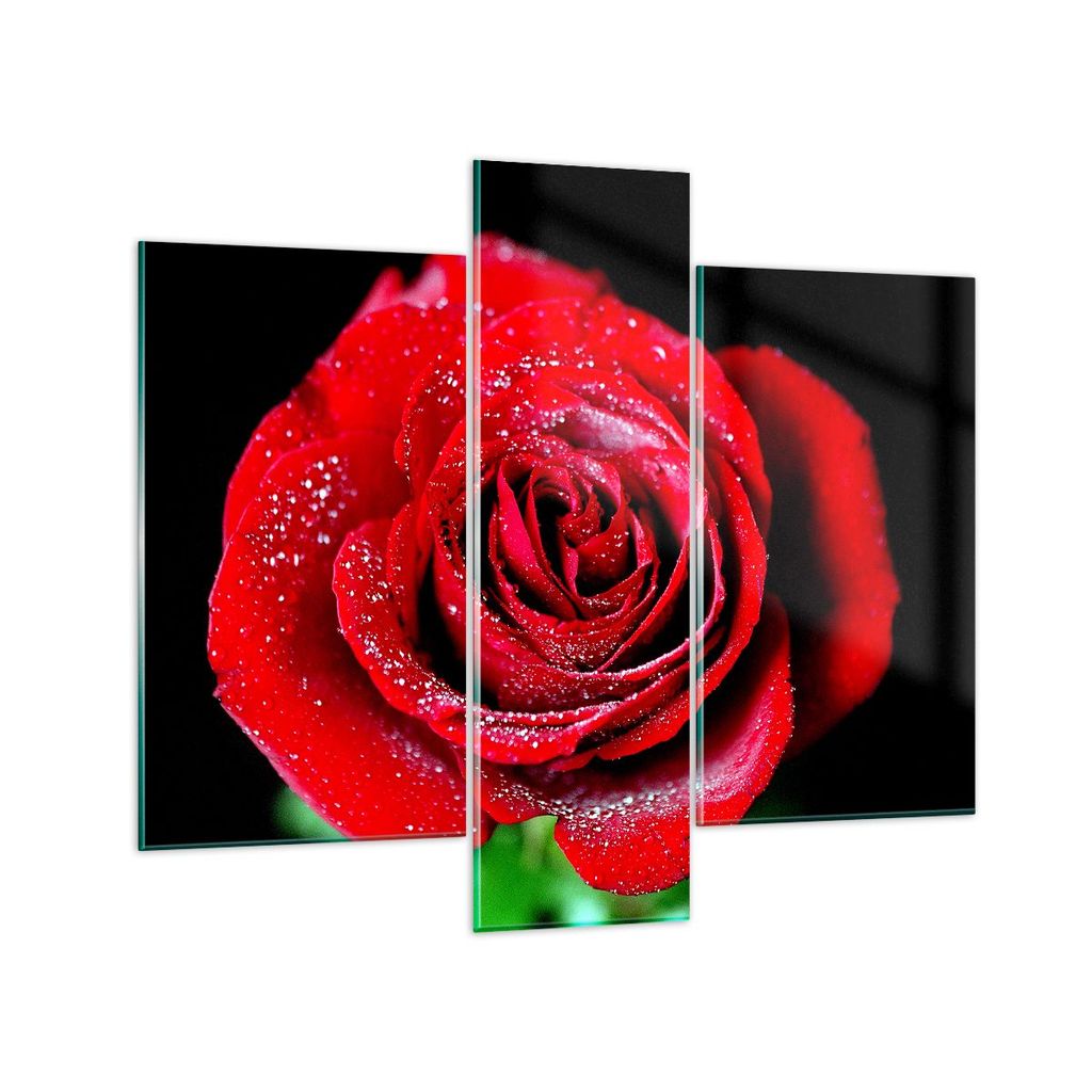 Bilder auf glas - Rose Blume Blütenblätter Wasser - 95x80cm - Glasbilder - Wandbilder - Kunstdruck - zum Aufhängen bereit - Wanddekoration aus G...