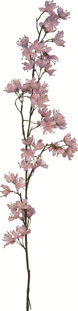 Fink KIRSCHBLÜTE, Kunstblume, Kunstfasern, pink, L. 0.5 cm, B. 15 cm, H. 109 cm 181016