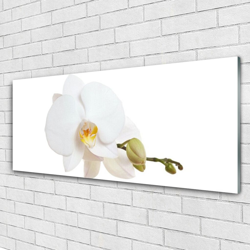 Acrylglasbilder 125x50 Wandbild Druck Blume Pflanzen