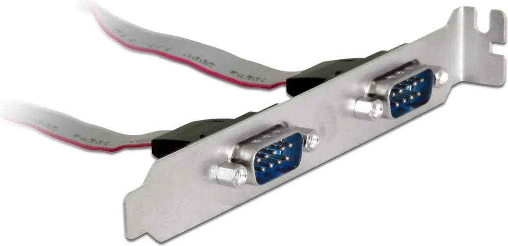 Staffa Seriale Delock 89268 | Doppia Porta COM DB9 per PC Moderni - 2