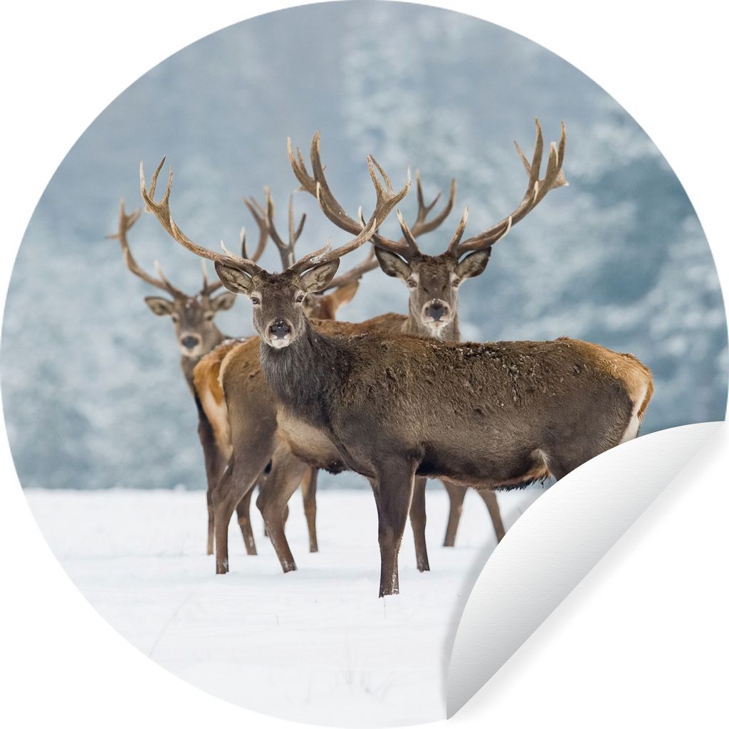 MuchoWow Runde Wandtattoo - Wandsticker Tapete Aufkleber Hirsche - Tiere - Schnee - Winter - Landschaft - Natur Ø 80 cm Selbstklebend und Reposi...