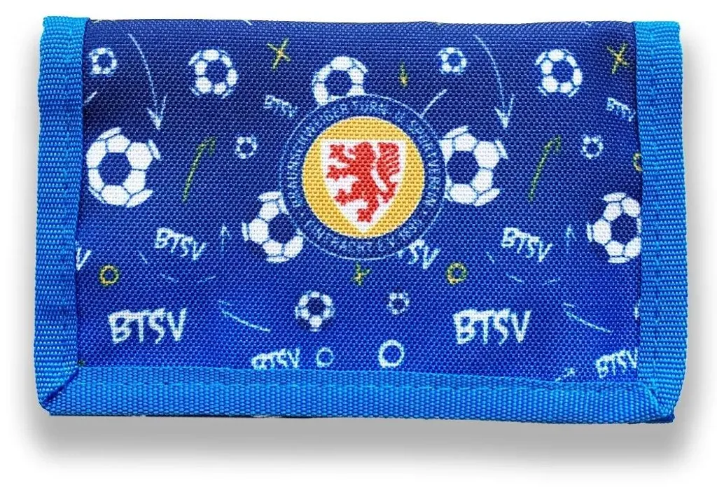 Livre Eintracht Braunschweig : stratégie financière et gestion du club