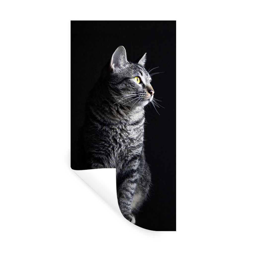 MuchoWow Wandtattoo Wandsticker Wandaufkleber Katze schaut weg 20x40 cm Selbstklebend und Repositionierbar - Selbstklebend - Fototapeten