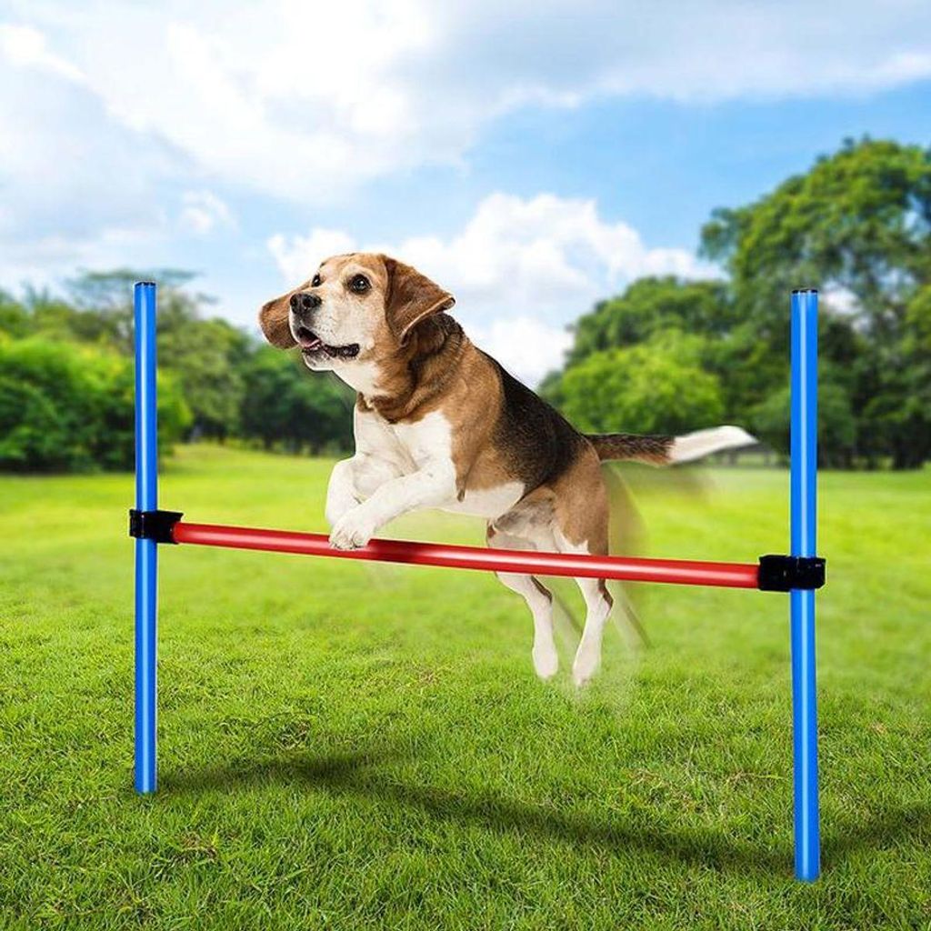Eén maat | maxxpro Agility Spring Stick - Set voor Productafbeelding 