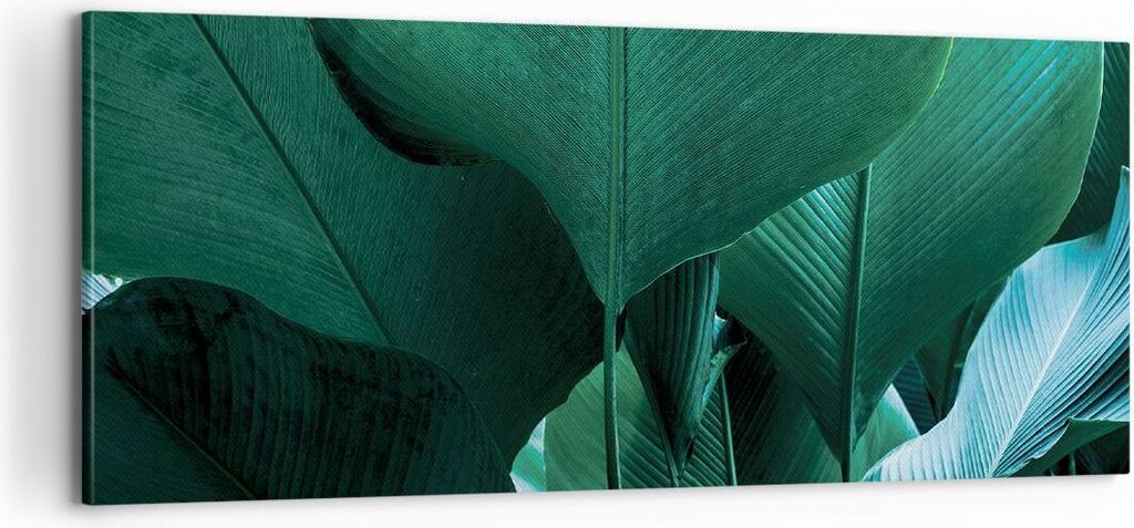 Bild auf Leinwand - Leinwandbild - Einteilig - Blätter Palmen Banane - 100x40cm - Wand Bild - Wanddeko - Wandbilder - Leinwanddruck - Bilder - Wan...