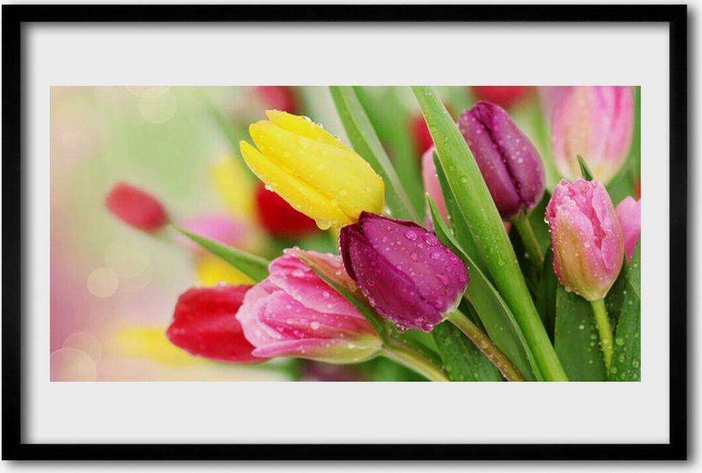 Bild 60x40 MDF-Rahmen Wandkunst Tulpen Blumen Pflanze