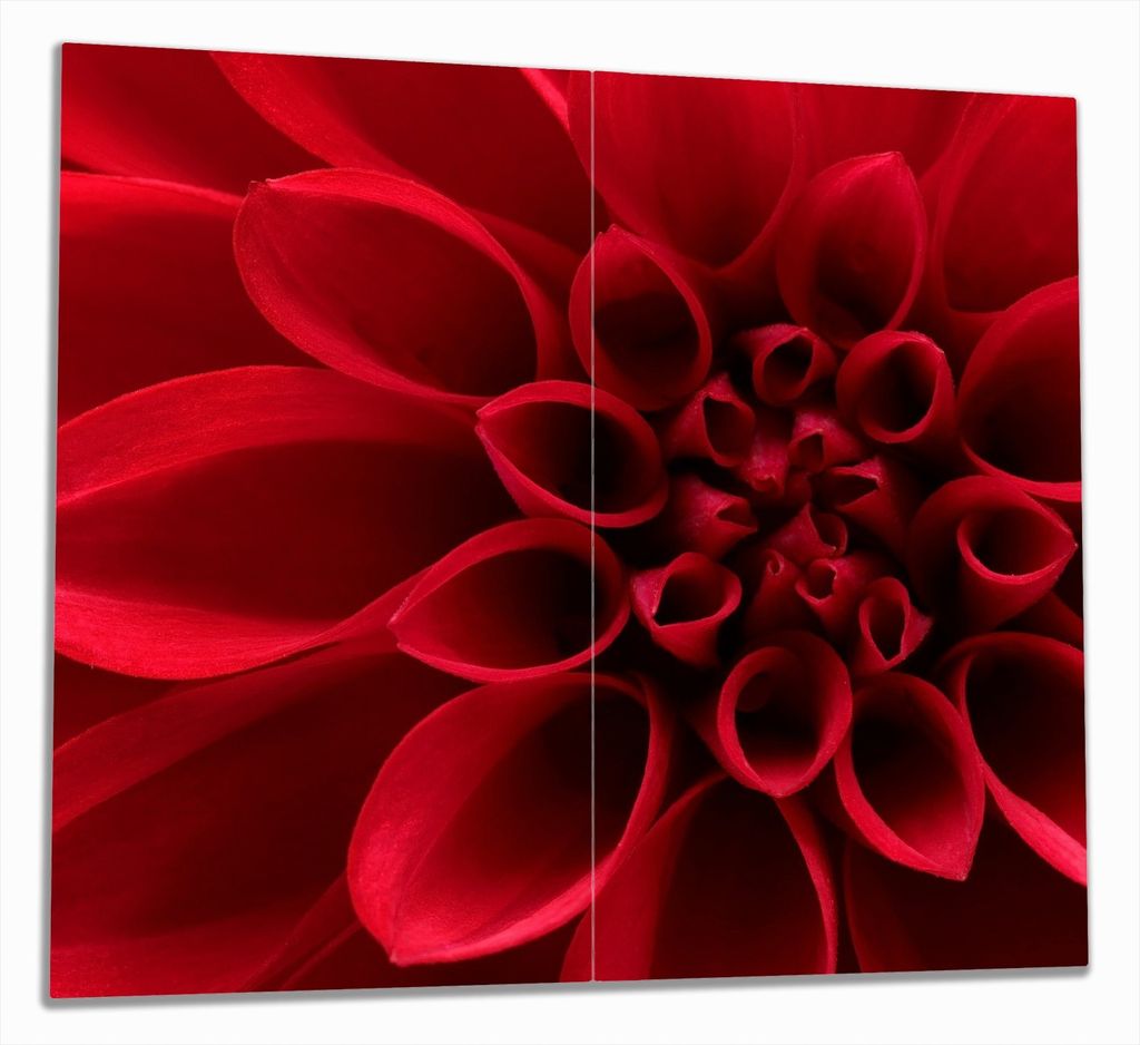 Wallario Herdabdeckplatte aus Glas, Größe 60 x 52 cm 2-teilig, Motiv Rote Dahlienblüte in Nahaufnahme
