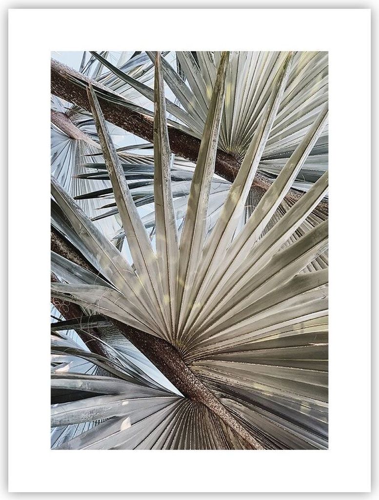 Poster - Poster ohne Rahmen - Blatt Palme Natur - 30x40 cm - Wand Bild - Wanddeko - Wandbilder - Kunstposter - Wandposter - Bilder - Kunstdruck - W...