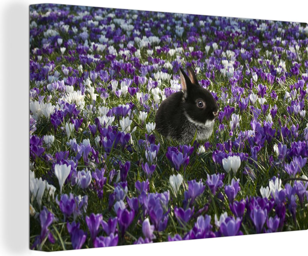 OneMillionCanvasses - Leinwandbilder - 140x90 cm, Kaninchen - Blumenfeld - Lila, Wandbilder Kunstdruck Wanddekoration