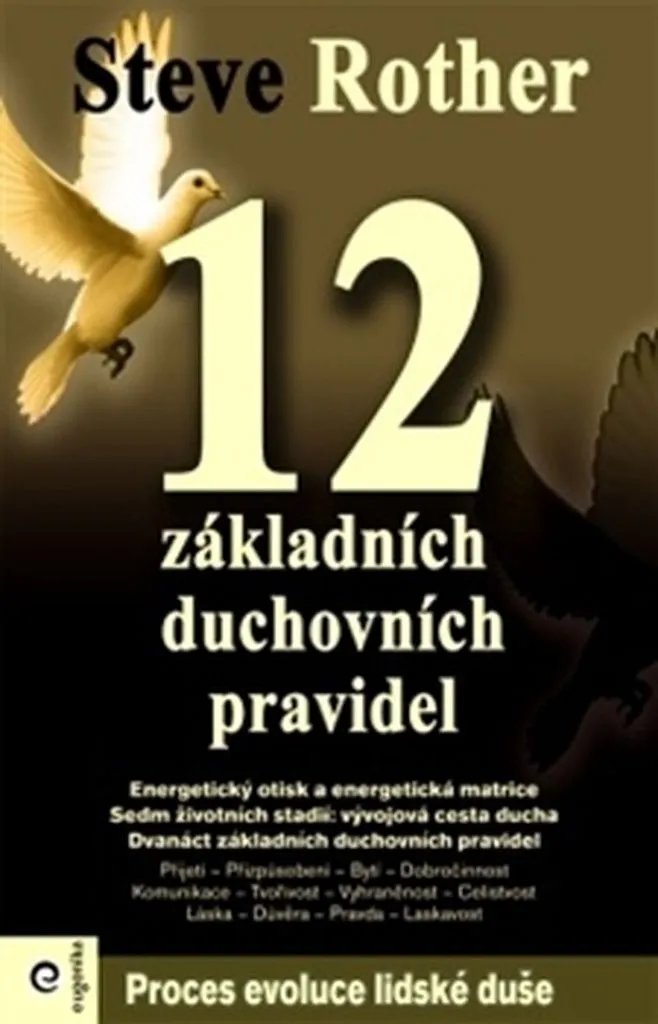 Livre 12 základních duchovních pravidel : Enseignements de Steve Rother