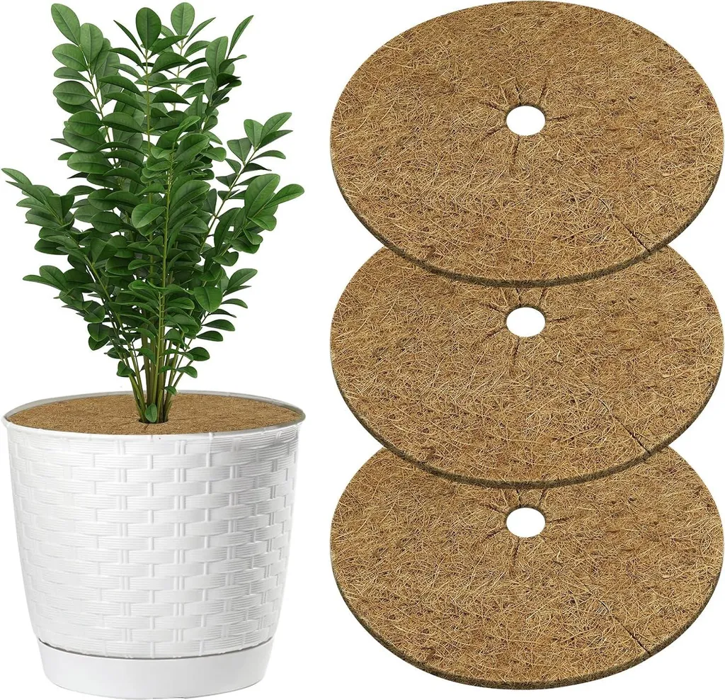 Protection hivernale plantes 60cm en coco - Paillage anti-gel lot de 3