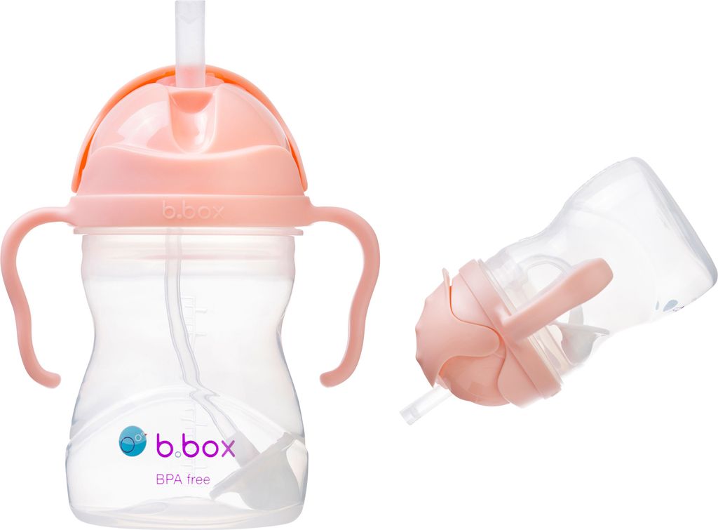 BBox Trinklernbecher Schnabeltasse Übungsbecher 240ml 6m+ Tutti Frutti