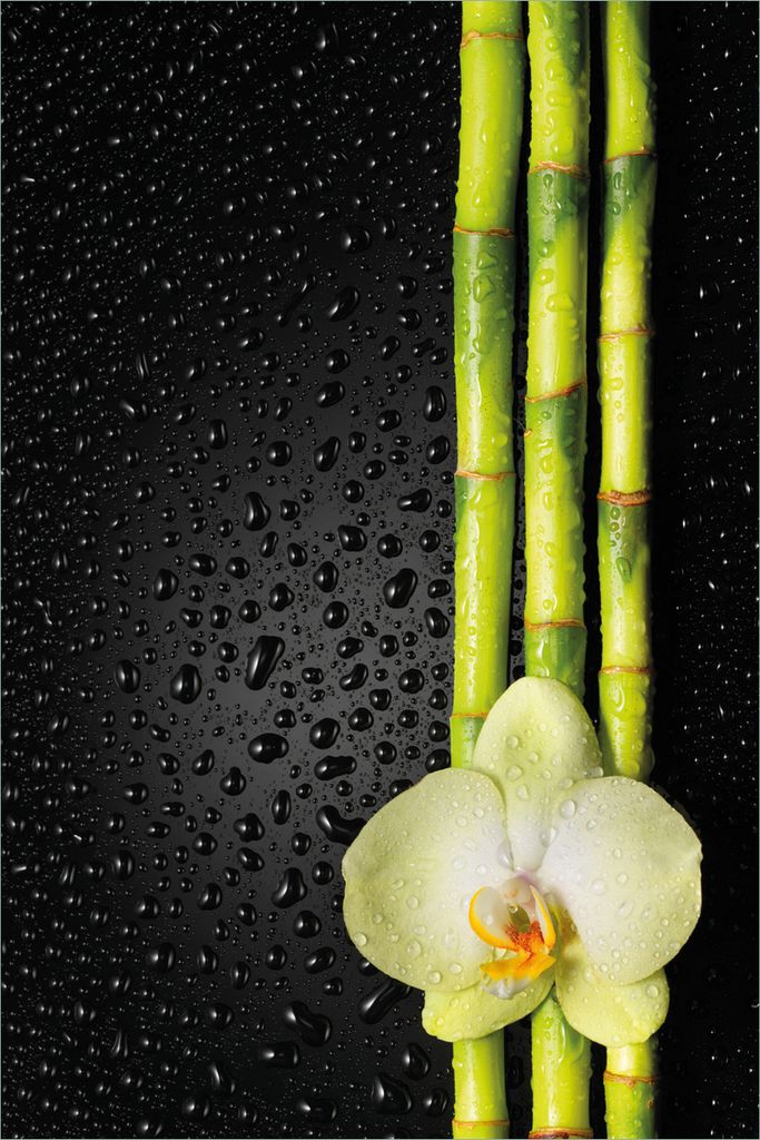 Wallario selbstklebendes Poster - Grüne Orchidee mit Bambus auf schwarz - Regentropfen, Größe: 61 x 91,50 cm