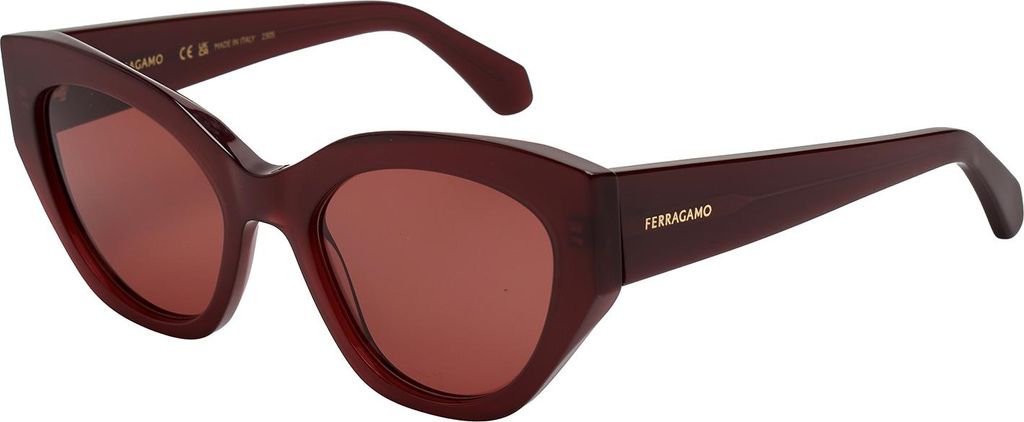 Salvatore Ferragamo Damen-Sonnenbrille im Cat-Eye-Stil aus Produktbild 