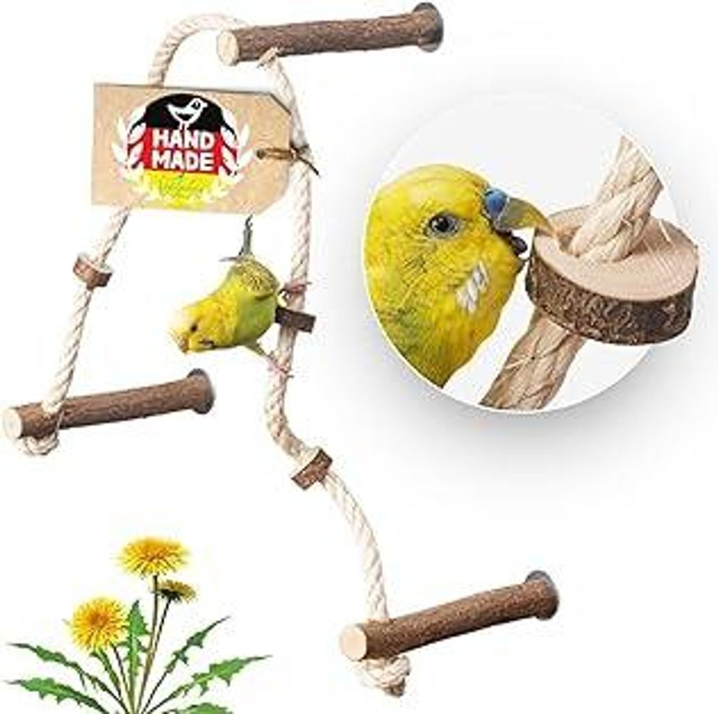 VogelgaleriaAufregendes Sitzseil BZW. Kletterseil mit 3 leckeren, verschiebbaren Naturholz Sitzstangen für Wellensittich, Nymphensittich & Co. fü...